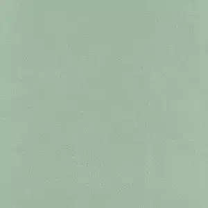 CLEANTEX-593738