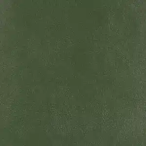 CLEANTEX-593785