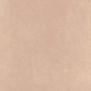 CLEANTEX-593788