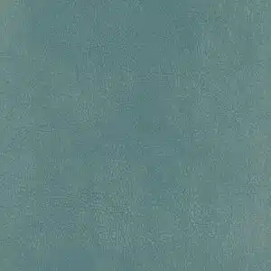 CLEANTEX-593792