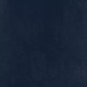 CLEANTEX-593795