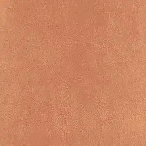 CLEANTEX-593797